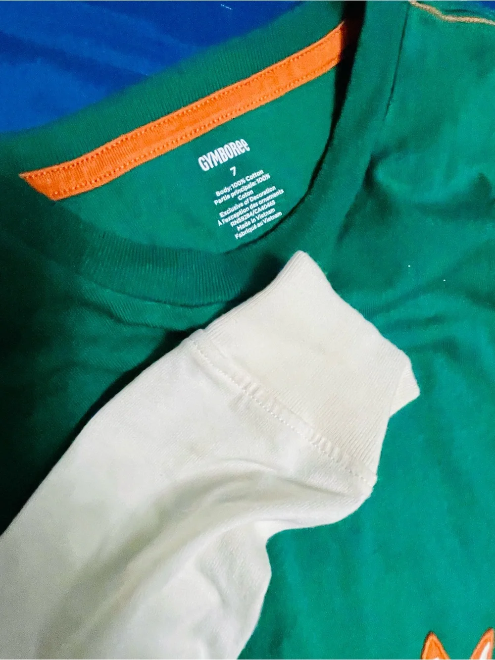 Gymboree Green Fox & Hedgehog Layered-Look Shirt